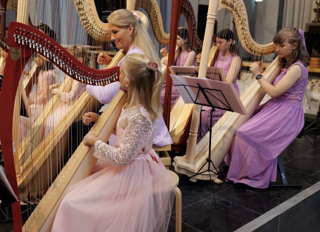 Mini-concert en workshop harp spelen