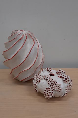 Fruits de Mer - keramiek-expositie 20-02-2024 
