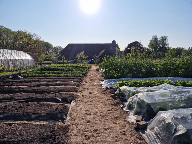 Lezing Heerlijckheid Het Vormer: Ecologisch Tuinieren