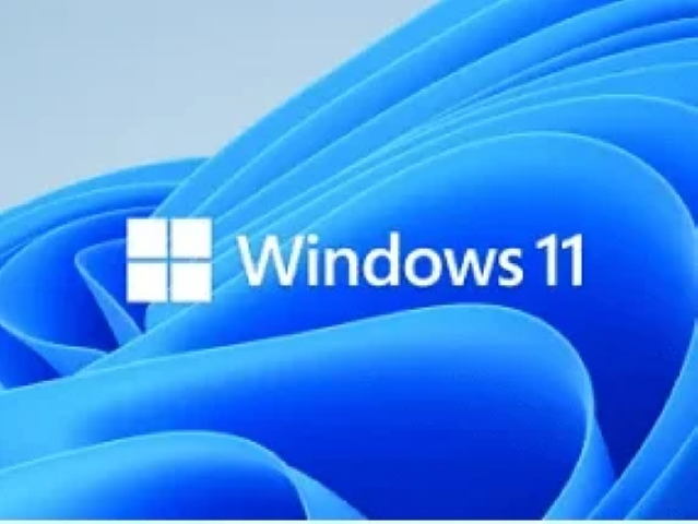 Windows 11 basiscursus