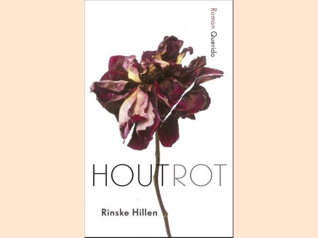 Hillen, Rinske - Houtrot