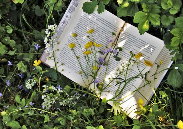 Workshop: Duurzaamheid met boeken en bloemen (6+)