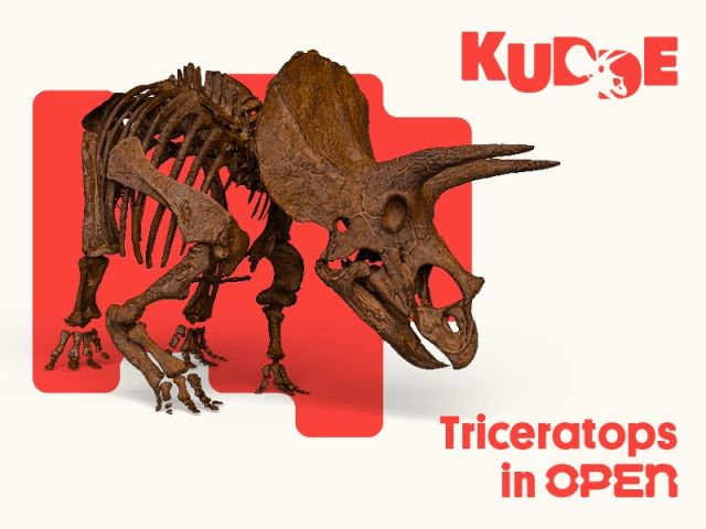 Triceratops in OPEN - Verwondertafel