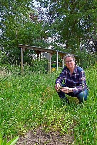 Foto-expositie: 'De Groene Helden van De Hof'