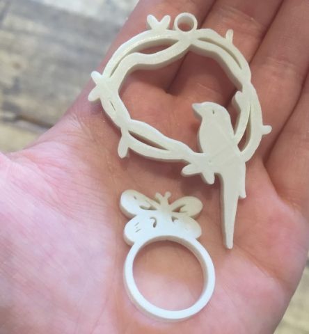 Ontwerp en 3D-print je eigen sieraad (8+)