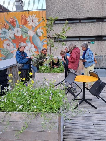 Groen doen: Kiekjes in de tuin nazomer