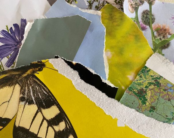 Workshop: maak je eigen collage