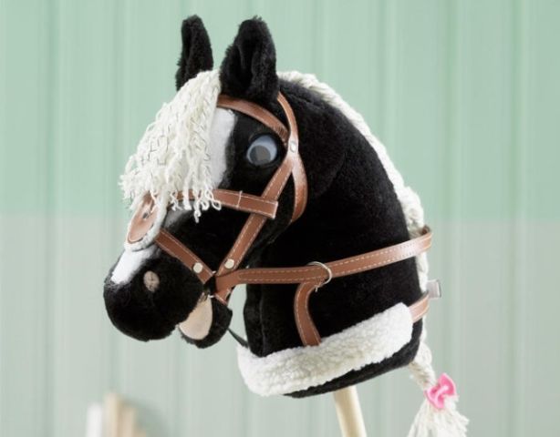 Workshop Soul Rider | Hobby Horse maken