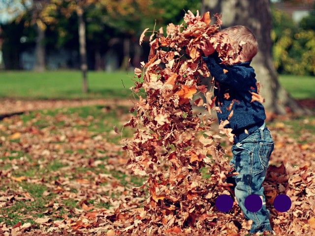 Herfst - Een collectie prentenboeken