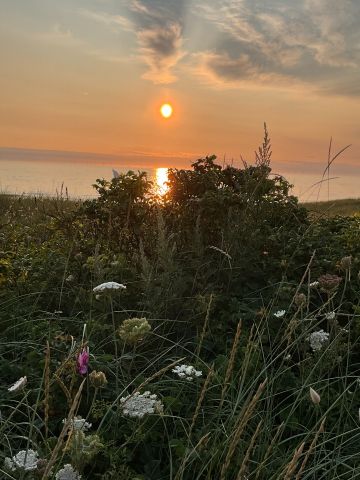 Aan tafel met...Virtueel wandelen door de Wimmenummerduinen en de geschiedenis van de koloniehuizen.