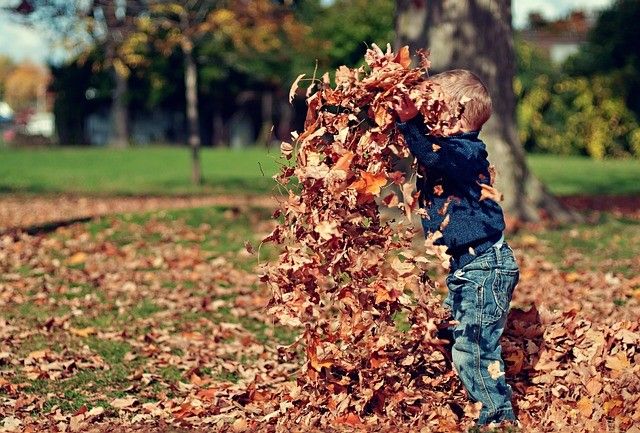 Voorleesmoment: Herfst