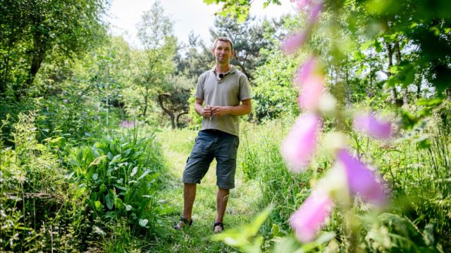 De eetbare siertuin