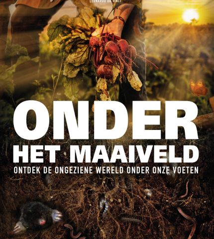 Film Onder het Maaiveld