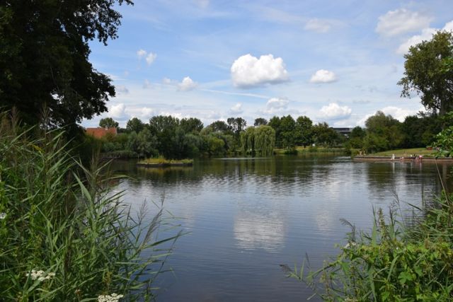 Green Cafe Nature walk with IVN: Genneper Park