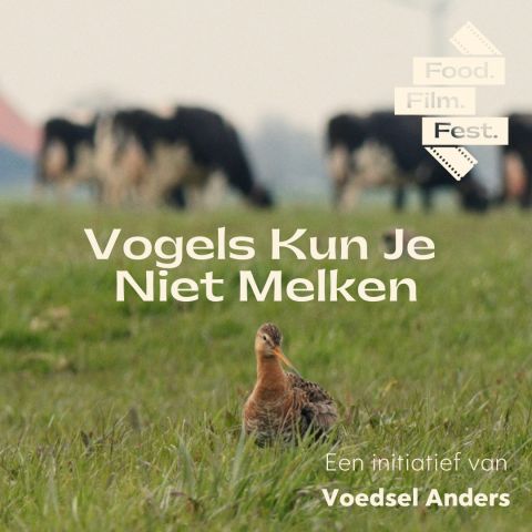 Film 'Vogels kun je niet melken'