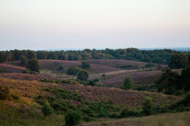 Tussen de Boeken | De Veluwe als natuurlijk geheel door Lennard Jasper