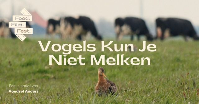 Groen Café: Film 'Vogels kun je niet melken'