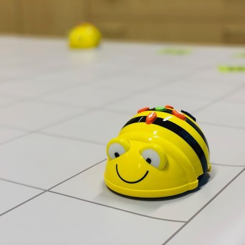 Programmeren met de Bee-Bot