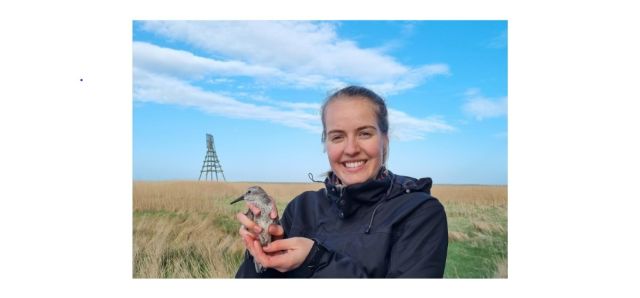 IVN kinderlezing: Help de Waddenzee stijgt!