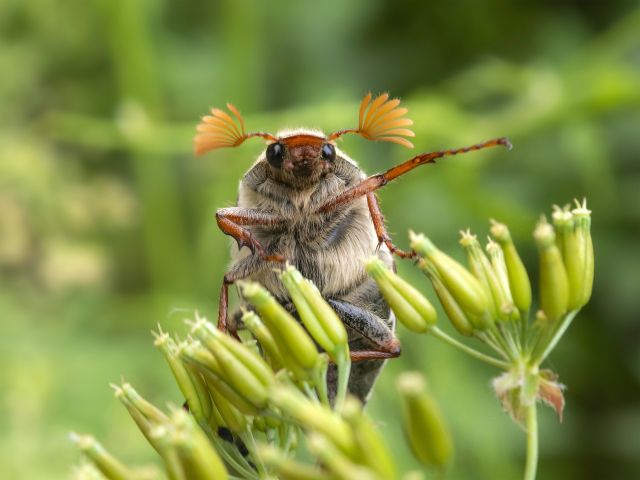 Expositie IVN werkgroep Natuurfotografie