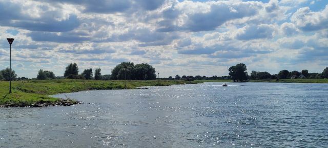 Vorming van het landschap in de gemeente Voorst - Wordingsgeschiedenis van de Gelderse IJsselvallei en IJssel