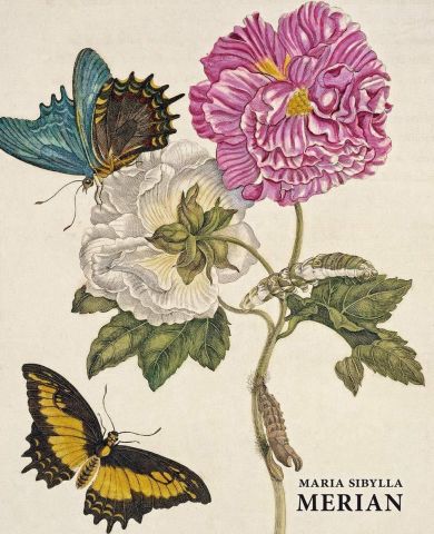 Themacafé: Maria Sibylla Merian 1647-1717