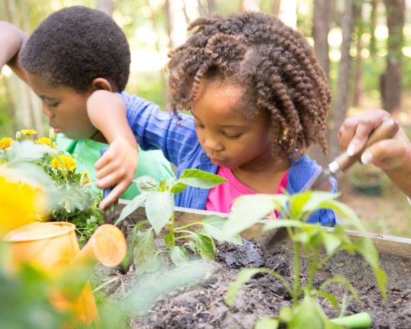 Bieblab Special: Moestuinbakken maken (6+)