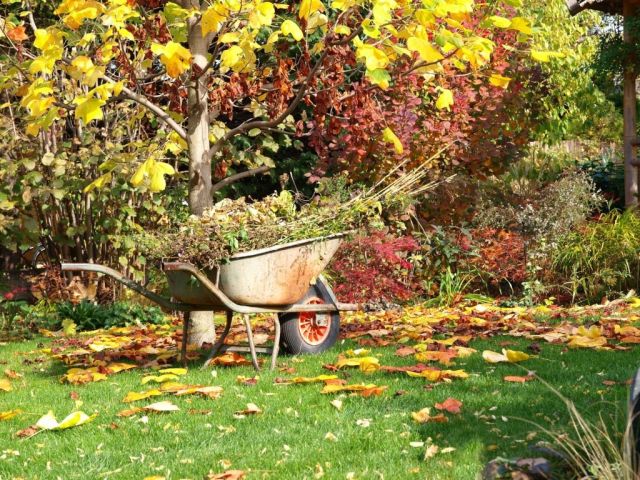 Maak je tuin winterklaar