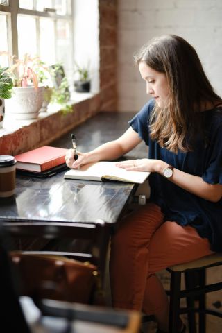 Het debuut: dromen, schrijven, publiceren