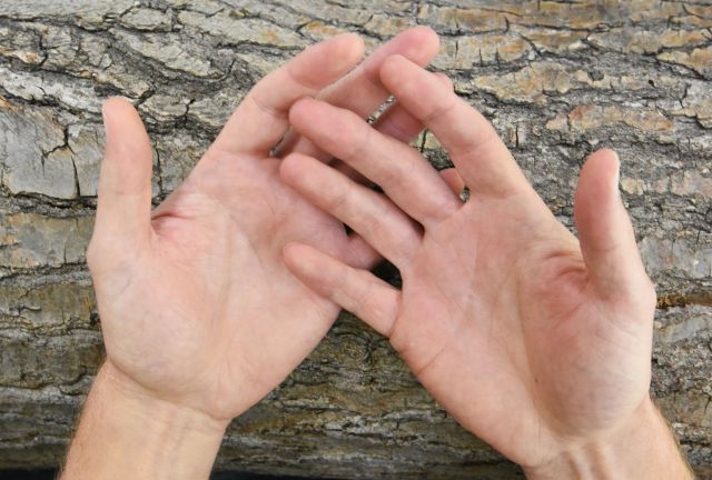 Lezing: Handlijnkunde