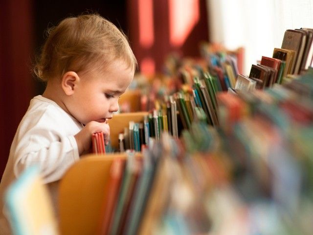 Ga mee op safari in de bibliotheek