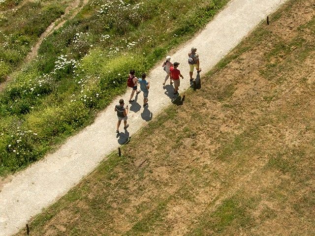 Mind-Walk: Wandel door een boek