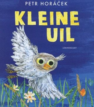 Kleine uil bij Voorleesuurtje