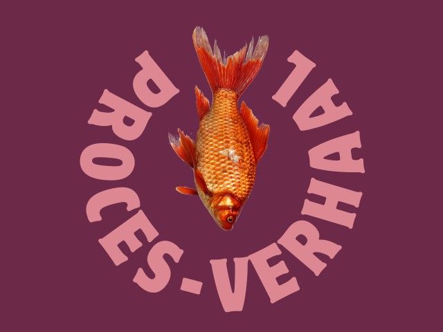 Proces-Verhaal 21-03-2025 20:00