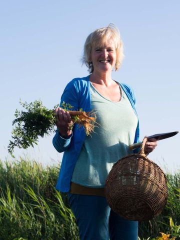 Voorjaarskruiden, vitaminebommetjes uit de natuur