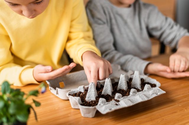 Voorlezen en zaadbommetjes maken