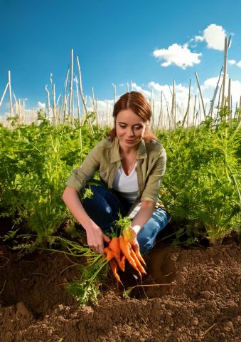 Lezing: Start en onderhoud je eigen moestuin