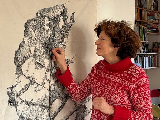 Expositie Titia Hajonides