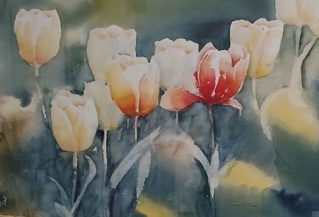 Expositie: Aquarellen