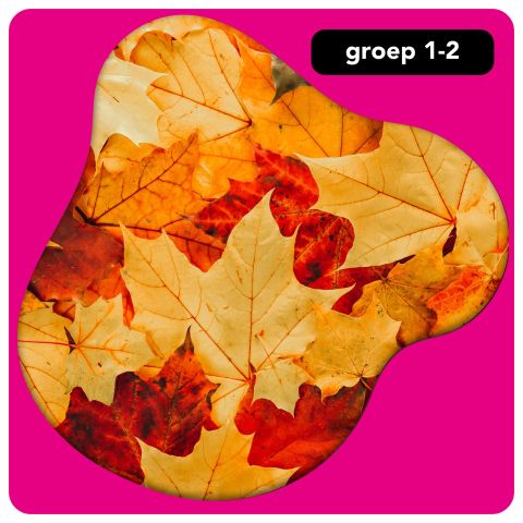 Onderbouw: herfst