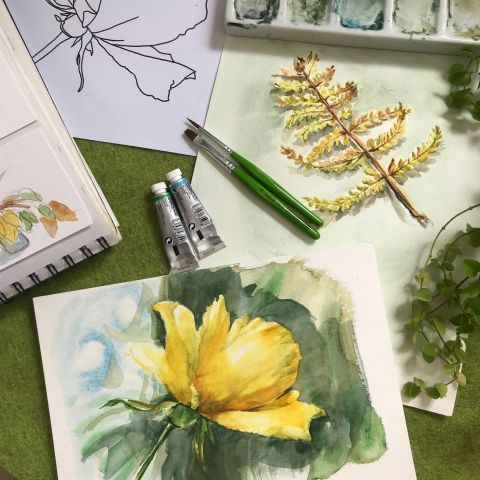 Intro to Aquarel