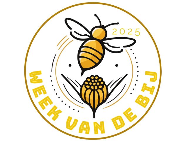 Miniworkshop programmeren met Beebots