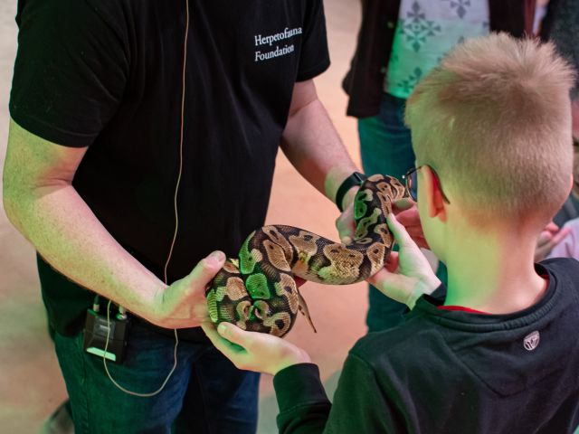 Koudbloedige avonturen: ontmoet reptielen en amfibieën!