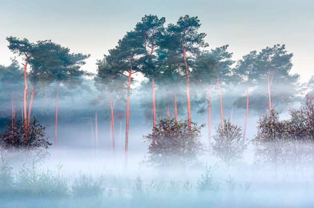 Lezing: De natuur rondom gemeente Best, door de lens van Bas van Laarhoven