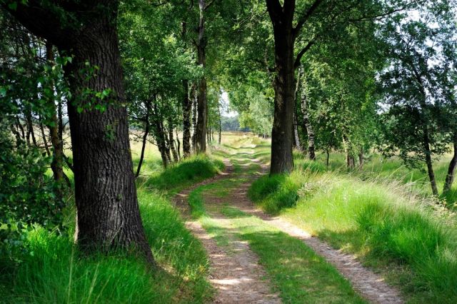 Schrijfwandeling 'licht'