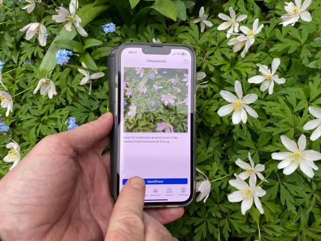Met je telefoon de natuur ontdekken samen met IVN!