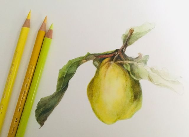 Workshop: Botanisch tekenen