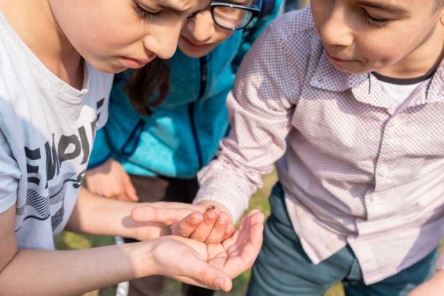 Vakantiefestival: Kriebelbeestjes bij jou in de buurt