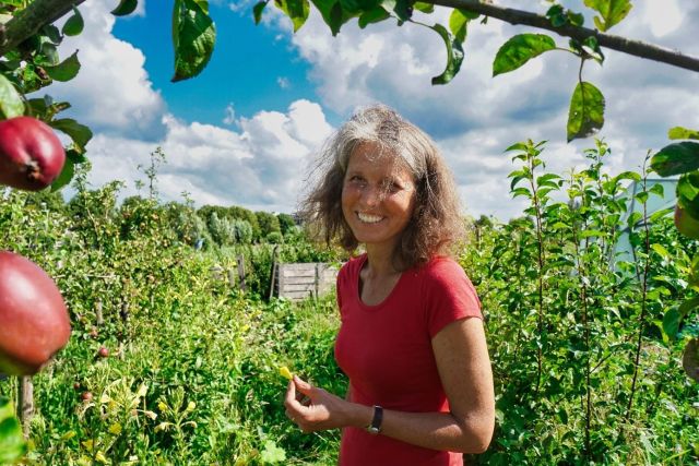 Proeftuin Moestuin Q&A