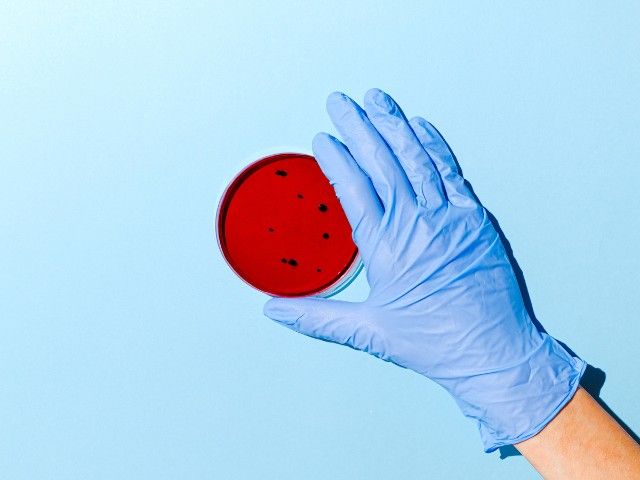 Lezing | Achter de schermen van Leiden Bio Science Park